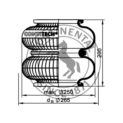 Zweifaltenbalg ohne Metall, CONTI_0